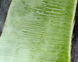 கேழ்வரகு அடை ரெசிபி ஸ்டேப் 3 புகைப்படம்