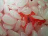 Manisan kolang kaling (fanta)