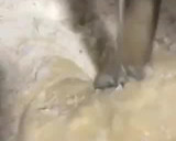 Foto del paso 4 de la receta: Coca con turrón de almendra
