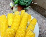 صورة لخطوة 3 من وصفة ذره مسلوقه