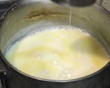 A picture of step 1 of Mango Custards Kulfi in the Popsicles.