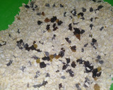 Foto del paso 1 de la receta: Galletitas de Avena y Pasas