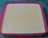 Foto langkah ke 3 dari resep Homemade Mozarella Cheese.