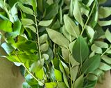 A picture of step 1 of Crispy Curry Leaves Fritters - Kadi Patta Bhajiya in 10 Minutes.
