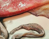 Foto del paso 1 de la receta: Calamares ibicencos a la romana