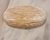 Foto langkah ke 5 dari resep Sourdough bread small version.