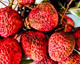 A picture of step 1 of Lychee Squash (Lychee Juice).