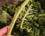 Foto langkah ke 1 dari resep Sayur Kale.