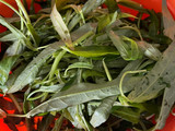 Tumis Kangkung