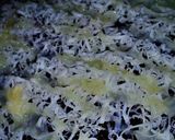 Foto langkah ke 8 dari resep Terangbulan a.k.a martabak manis coklat keju (teflon mode).
