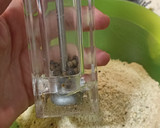 Foto del paso 2 de la receta: Nuggets de pollo🍗