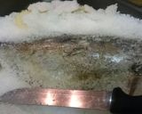 Foto do passo 5 de Peixe assado no sal grosso