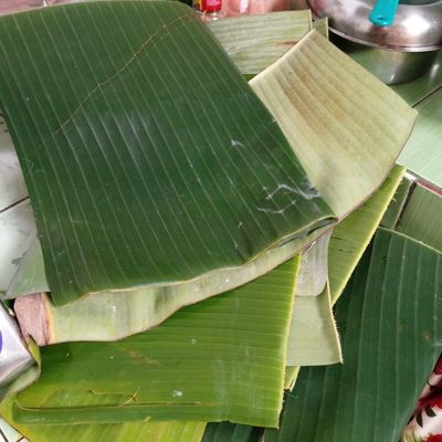 Langkah 8