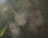Foto langkah ke 7 dari resep Ikan Baung Masak Kuning.