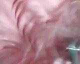 عکس مرحله 4 از دستور خامه رنگی با سفیده تخم مرغ🍰🥚