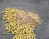 A picture of step 3 of Missi roti.