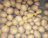 Foto del passaggio 1 della ricetta Cosciotto di Pollo Paesano e Patate Novelle in Friggitrice ad Aria