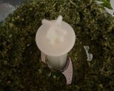 Foto del paso 2 de la receta: Pesto de albahaca