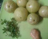 आँवले का जूस (amle ka juice recipe in Hindi) रेसिपी चरण 1 फोटो