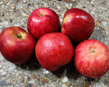 Foto del paso 1 de la receta: 🍎Persianitas de manzana, pasas de uva y frutos secos 🍎#Sintacc, sin azúcar ni edulcorante