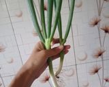 Foto langkah ke 2 dari resep Kimchi kubis, bawang, timun.