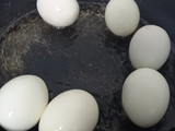 Egg Curry