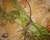 Foto del paso 9 de la receta Jabalí estofado
