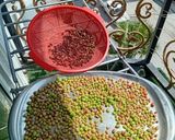 عکس مرحله 1 از دستور گرد غوره