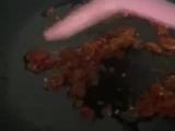 Kerang Ijo saus padang