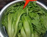Foto langkah ke 1 dari resep Sayur asin homemade.