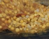 तवे पर रगड़ा चाट ((Tawe per ragda chaat recipe in Hindi) रेसिपी चरण 2 फोटो