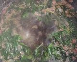 عکس مرحله 3 از دستور شربت ریحان سبز و گل محمدی🌱🌺