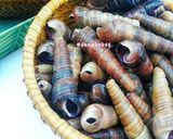 Hình bước làm 1 của món Ốc Xào Bơ Tỏi 🐚 🥘