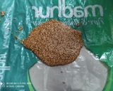 તલની ચીકી (Til Chikki Recipe In Gujarati) રેસીપી સ્ટેપ6ફોટો