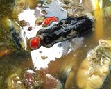 Foto langkah ke 8 dari resep Pindang Patin kuah bening simple.