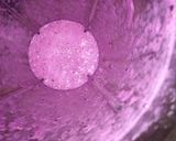 Foto langkah ke 1 dari resep Dragon Fruit Steamed Cake.
