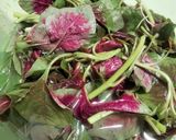 Foto langkah ke 1 dari resep Sayur bening Bayam Labu siam.