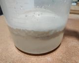 Foto del paso 2 de la receta: Pan de Espelta integral