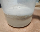 Foto del paso 2 de la receta: Pan de Espelta integral