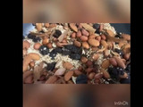 Mole rojo