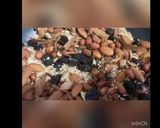 Foto del paso 2 de la receta: Mole rojo