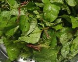 कुर्डुची भाजी (Kurduchi Bhaji Recipe In Marathi) रेसिपी स्टेप 1 फोटो 