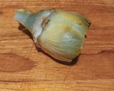 A picture of step 3 of Grilled Artichokes with Garlic, Oil, and Parsley Dressing.