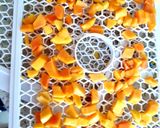 A picture of step 2 of My Dehydrated Papaya 🤗.
