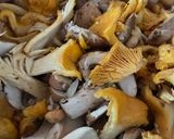 Rókagombás pörkölt recept fázis 1 fotója