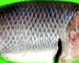 তেলাপিয়া মাছের বারবিকিউ রেসিপির ধাপ 1 ছবি