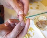 Foto del passaggio 16 della ricetta Tortellini più buoni del mondo