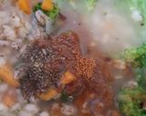 A picture of step 5 of My Barley & Veg Soup 💜.