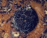 A picture of step 7 of Pancakes with Oreo.