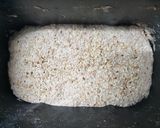 Foto del paso 3 de la receta: Pan de espelta integral 100% (en panificadora)